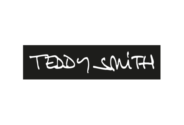 logo Teddy Smith